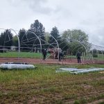 IMG_20210515_111937